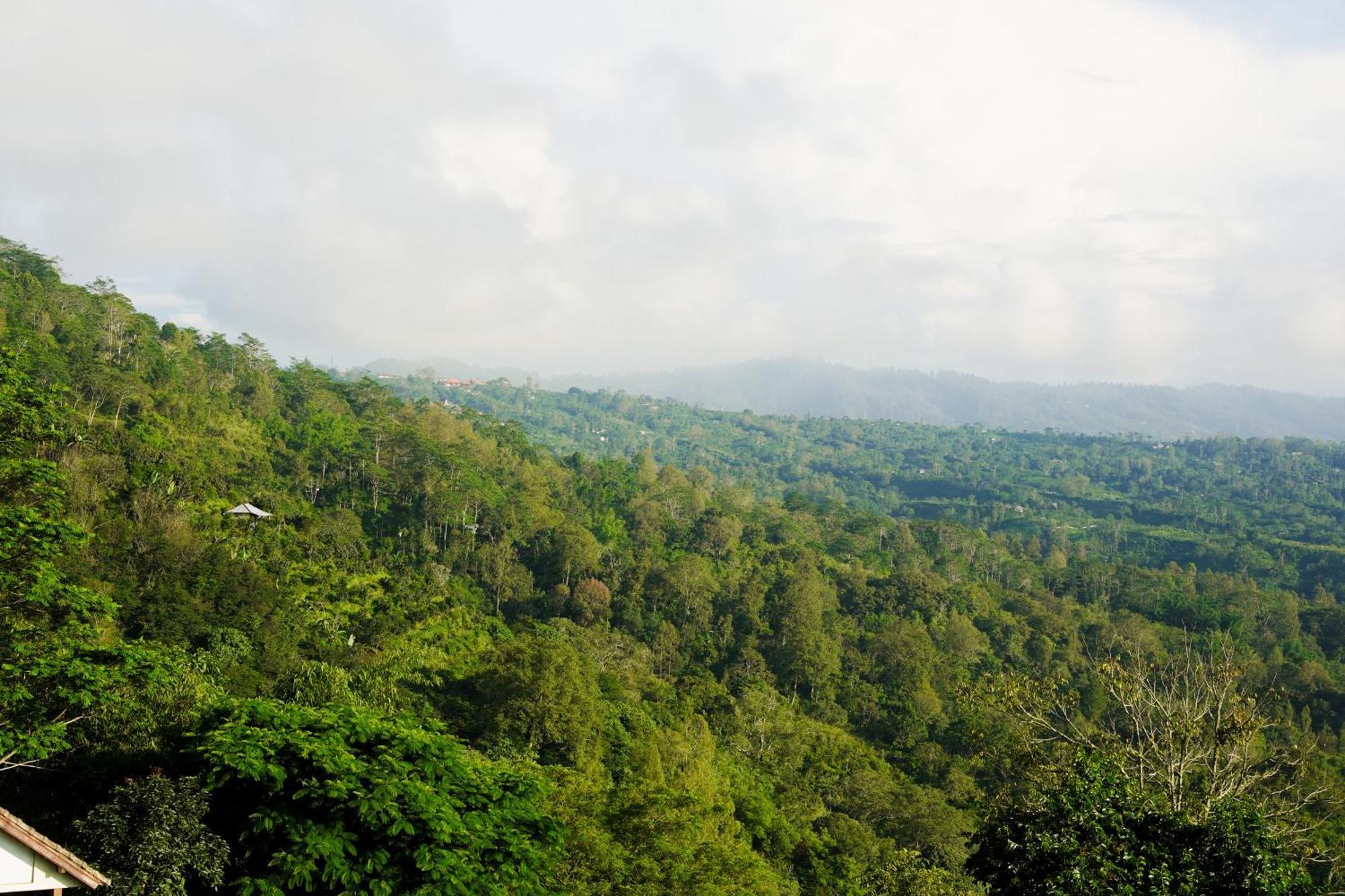 गेस्ट हाउस The Kayuan